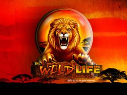 The Wild Life Logo