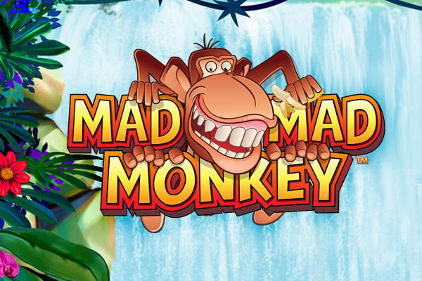 Crazy monkey games